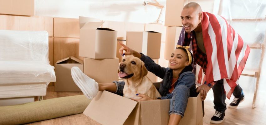 House Packing with Pets: Checklist for a Successful Move