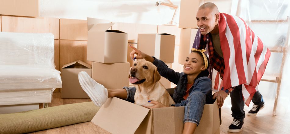 House Packing with Pets: Checklist for a Successful Move