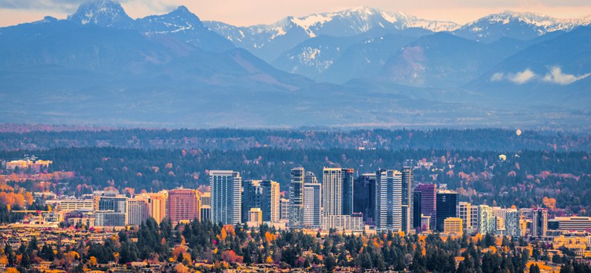 Bellevue, King County, WA is very liberal