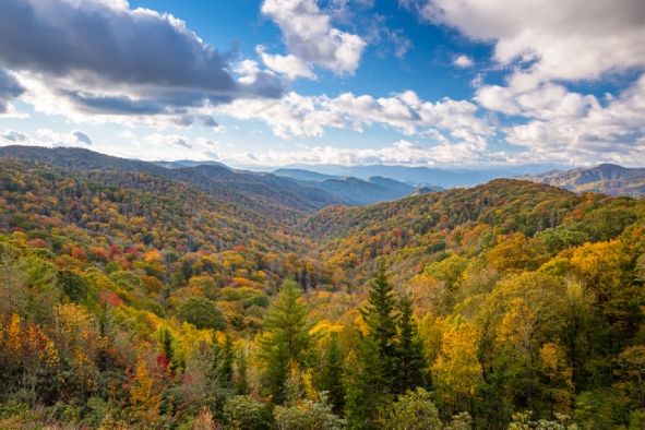 Great Smoky Mountain Range