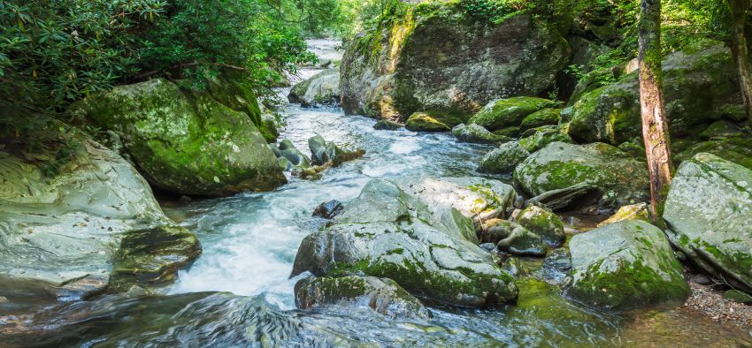 waters of the river