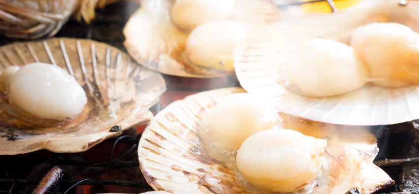 Grilled Fresh Scallop on Shell with charcoal stove