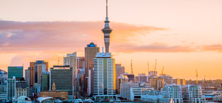 10 Things To Consider When Relocating From Texas To New Zealand
